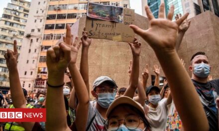 Ley de seguridad de Hong Kong: libros a favor de la democracia tomados de las bibliotecas