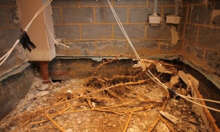 Advertencia del propietario después de que la fábrica de bambú en funcionamiento de un vecino causara daños por £ 100,000 en su hogar