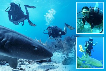 William y Kate bucean con TIBURONES en instantáneas increíbles mientras recorren el Caribe