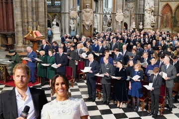 Harry criticado por un