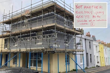 Fui trolleado por vecinos por pintar un edificio de gris 