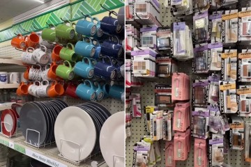 Soy fanático de Dollar Tree: tres cosas que NO vale la pena comprar