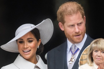 El príncipe Harry lucha por tragarse su papel de 