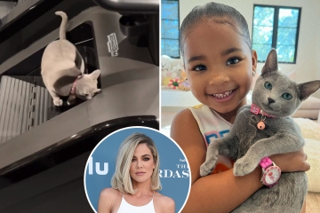 Los fanáticos de Khloe temen por el gatito de True después de que la dejó jugar en la máquina de entrenamiento