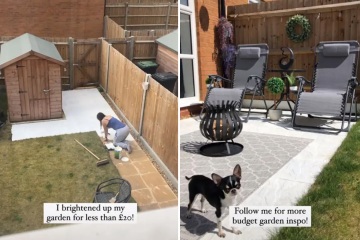 Transformé mi jardín por solo £ 20; me tomó menos de un día
