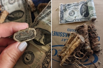     Encontré dinero misterioso debajo de mi piso: podría haber un giro espeluznante