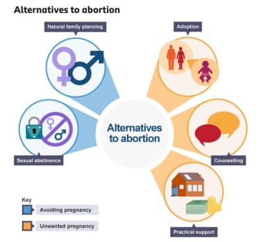 Una infografía que muestra cinco opciones como círculos alrededor de un círculo central que contiene las palabras 