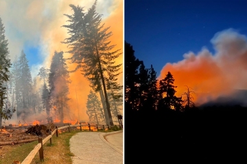 Incendio en Yosemite amenaza a famosas secuoyas gigantes mientras se evacuan áreas del parque