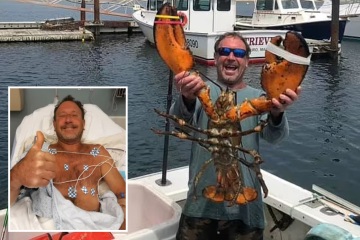 Fui tragado por una BALLENA - Podía sentir los músculos del animal tensarse