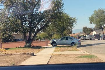 Mi vecino estaciona de la manera más tonta - todos dicen lo mismo