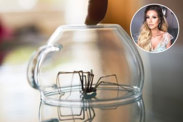 Los fanáticos de la Sra. Hinch se vuelven locos con el producto natural para protegerse de las arañas