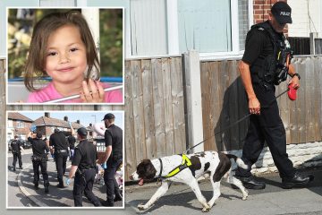 Policías buscan un arma utilizada en el brutal asesinato de Olivia mientras perros rastreadores recorren la calle