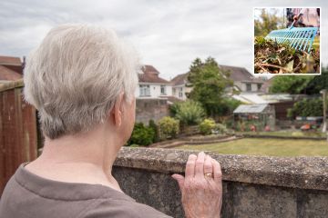 Mi vecino sigue quejándose de mi arbusto... Me vengo mal 