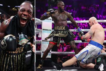 Mira a Wilder noquear a Helenius en el primer asalto con un derechazo brutal