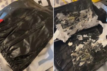 Pedí un top de cuero de Shein pero recibí más de lo que esperaba