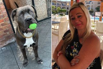 Le rogué a mi hija perla que se deshiciera de su perro antes de que la matara