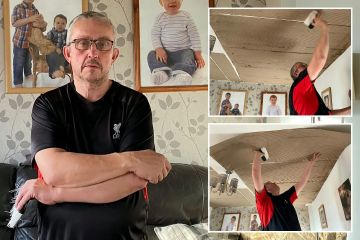 Tuve que pegar cartón por toda mi casa para mantener el calor.