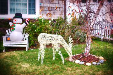 Mis vecinos ponen adornos navideños en mi jardín - quiero que se vayan