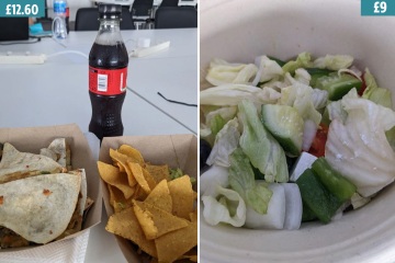 Todos los fanáticos dicen lo mismo sobre la horrible comida de la zona de fanáticos de la Copa Mundial, incluida la ensalada de £ 9