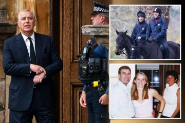 La furia de Andrew después de que los policías financiados por los contribuyentes de £ 3 millones al año fueran despedidos en unas semanas