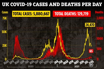 Los casos de covid caen un 30% en una semana, ya que el Reino Unido registra 24,470 infecciones más y 65 muertes