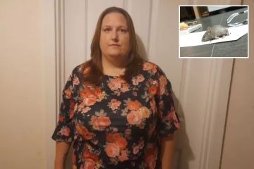 Tengo demasiado miedo de levantarme de la cama por la noche porque las ratas se vuelven locas en mi casa. Ayúdame.