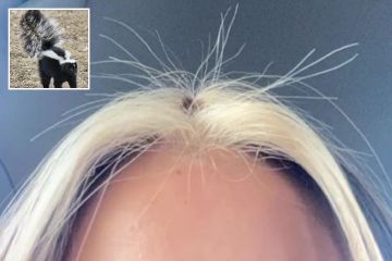 Fui a la peluquería para un nuevo look moderno... es tan malo que parezco una mofeta