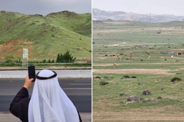 Los áridos desiertos de Arabia Saudita se vuelven verdes en el
