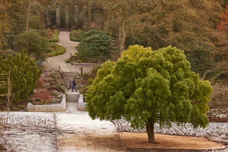 Visitantes en la caminata de invierno en RHS Harlow Carr en Harrogate, North Yorkshire