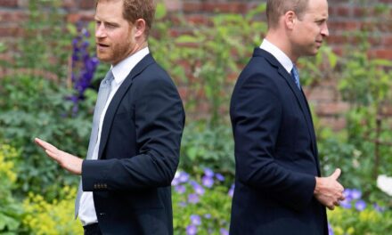 Lo último del príncipe Harry: todos los fanáticos de los Royals dicen lo mismo que Haz afirma que William lo dejó con ‘rasguños y moretones’