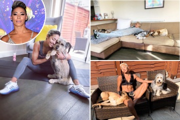 Dentro del hermoso apartamento londinense de la estrella Strictly Karen Hauer con sus adorables perros