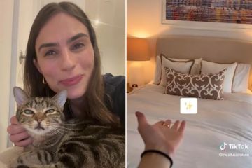 Aquí le mostramos cómo limpiar cualquier habitación cuando tiene prisa en cinco simples pasos