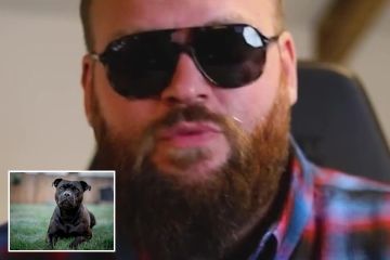 Un experto en perros comparte las dos razas de perros más fáciles de cuidar, pero hay una trampa