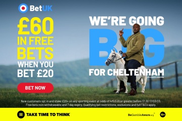 Apuestas gratuitas en el Festival de Cheltenham: obtenga un bono de £ 60 con Bet UK