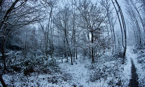 El bosque parece un paraíso invernal después de una noche de fuertes nevadas en la campiña de Berkshire.
