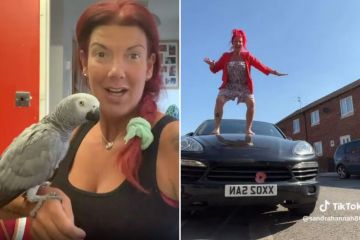 Propietario de la sensación viral Chanel, el loro, acusado de más de 800.000 libras esterlinas de tráfico de drogas