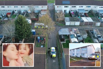 Tragedia cuando una niña de 4 años es mutilada hasta la muerte por un perro mientras se escuchan gritos horribles