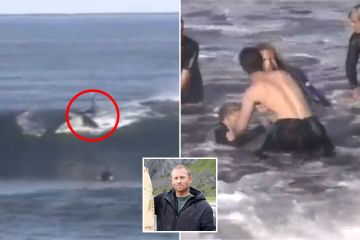 Fui mutilado por DOS grandes tiburones blancos a la vez e intentaron arrancarme la cabeza.