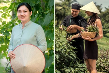 Soy un profesional de la jardinería - 3 especias que matan insectos y el mejor fertilizante casero