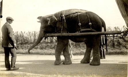 Un elefante tirando de un carruaje