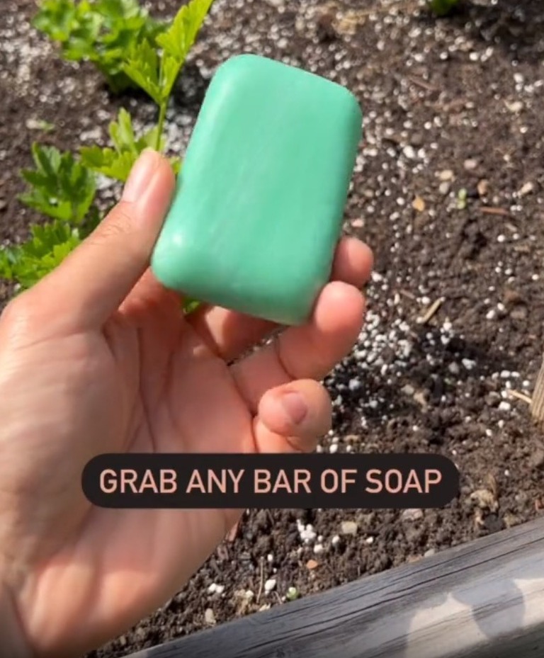 Usó una barra de jabón para atrapar la suciedad y facilitar la limpieza.