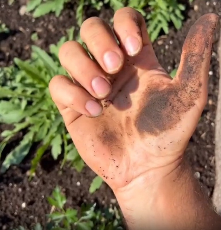 Ella dijo que ayuda a limpiar sus uñas de suciedad.