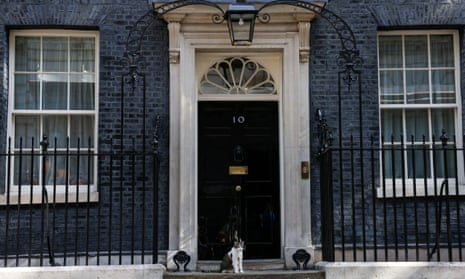 Larry el gato esperando que Joe Biden llegue a Downing Street esta mañana.