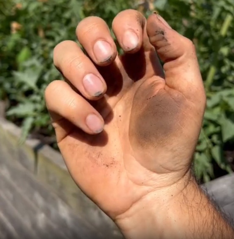 Una jardinera compartió un consejo que recibió de su abuela.